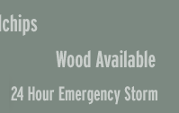 Free Woodchips
Wood Available
24 hour Emergency Storm